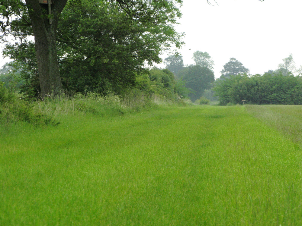 Westhorpe footpath mown to the width of an A road
