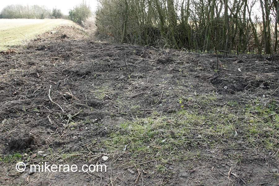 Scrubby field corner used by butterflies flattened destroying habitat and nest sites.