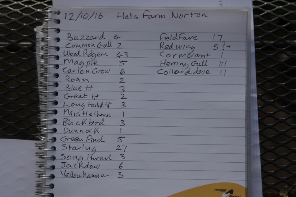 12th Oct 2016 bird count Halls farm Norton