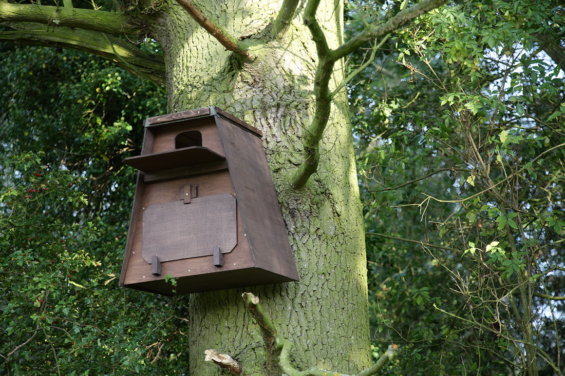 Newly errected Barn owl box